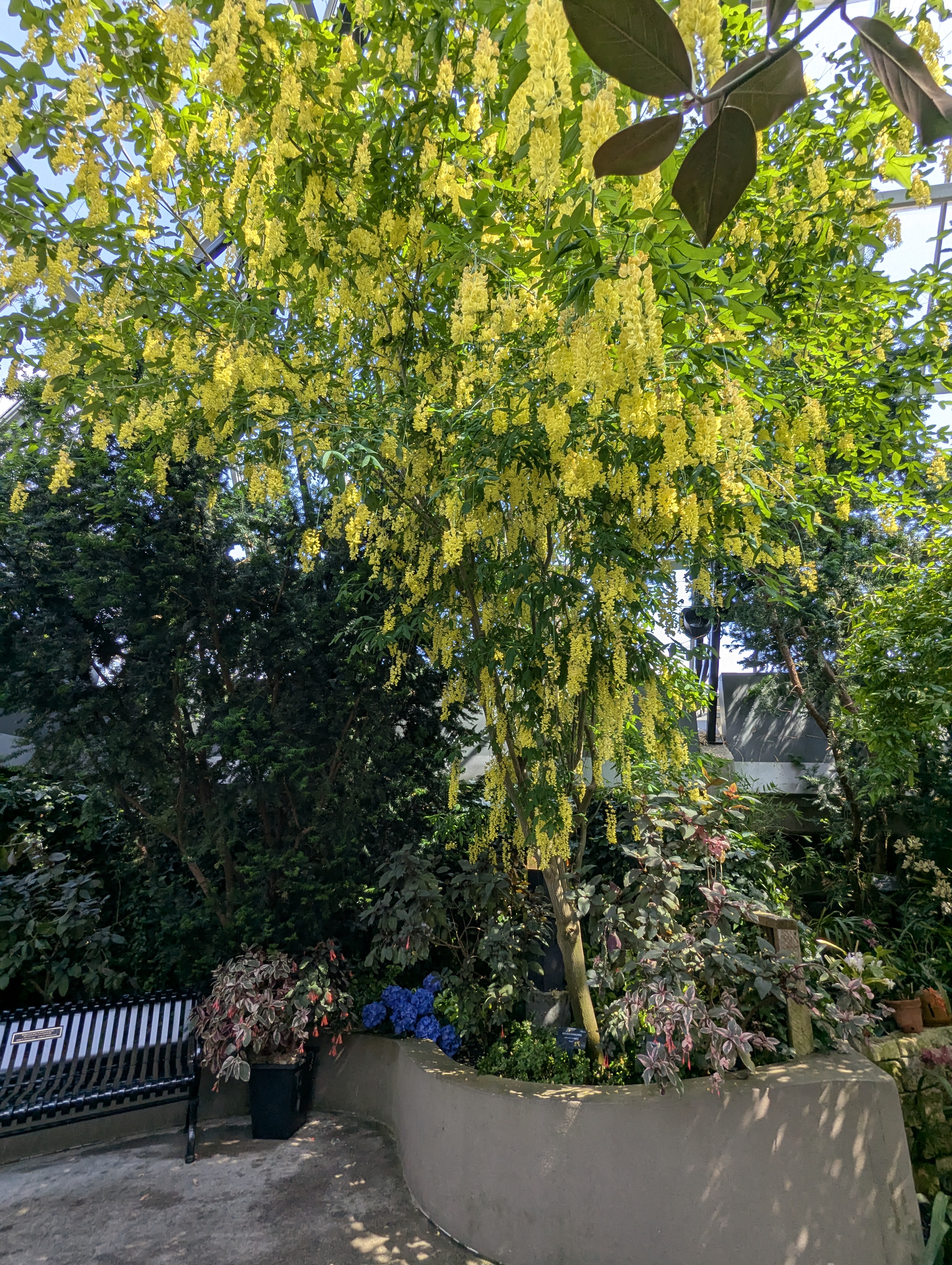 Birthday Trip to Canada, Edmonton, Pyramids, Muttart Observatory